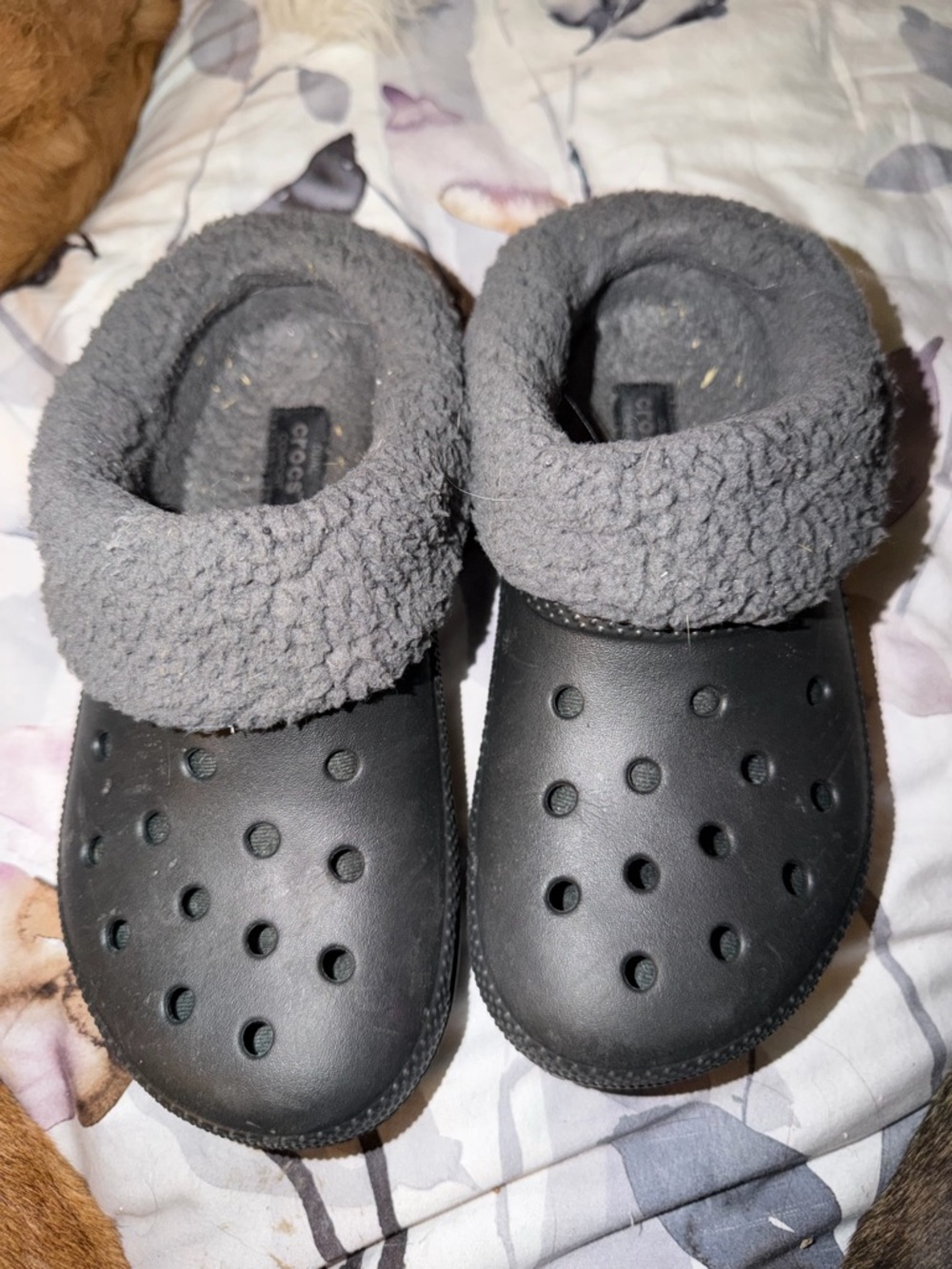 Croc